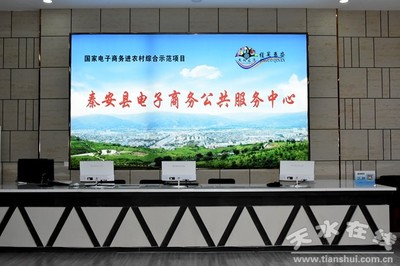 赵卫东调研秦安县电子商务发展情况(图)